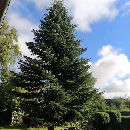 Schoene An Der Nordsee In *