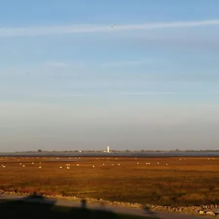 Schoene An Der Nordsee In