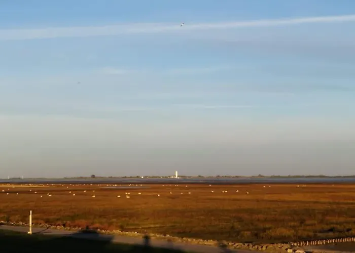 Schoene An Der Nordsee In